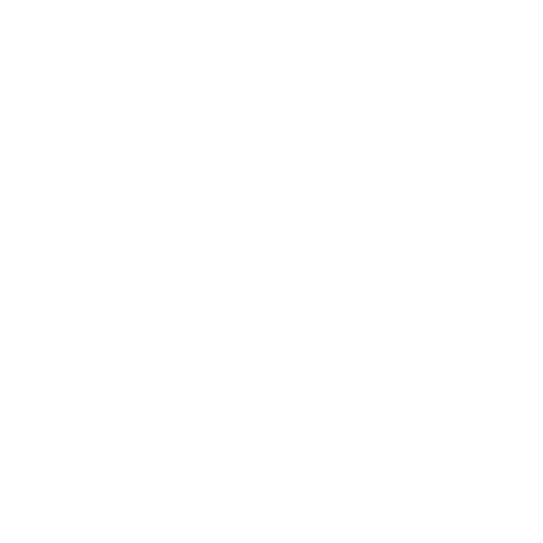 Texte en blanc sur fond transparent qui dit 'DAILY FRUITS'.
